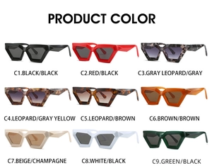 Color palette of retro geometric sunglasses showing nine trendy frame and lens combinations