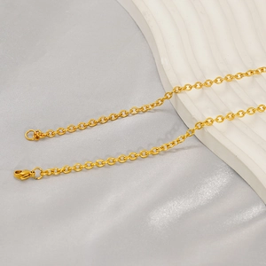 Detailed close-up of a minimalist gold titanium steel chain necklace on a ceramic plate