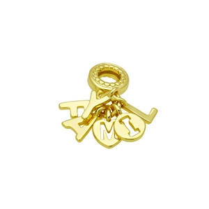 Detailed view of golden metal FAMILY letter charms for jewelry bracelets on white base