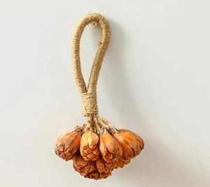 Détail de gousses de graines séchées naturelles avec corde de jute pour déco intérieure