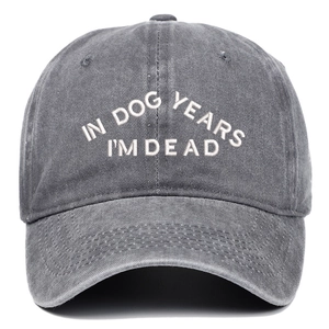 Détail du texte brodé 'IN DOG YEARS I'M DEAD' sur casquette de baseball en coton gris délavé