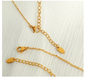 Macro detail of golden stainless steel extender chain with lobster clasp and S.Steel tag