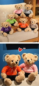 Detailed collection of teddy bears wearing varsity hoodies in six vibrant colors