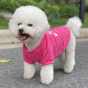 Close-up of rose pink cotton pet t-shirt with white printed letters on a small dog