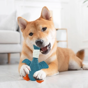 Detail of durable blue plush duck toy with textured fabric being chewed by a Shiba Inu dog