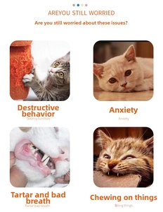 Cat behavior issues shown including furniture scratching, anxiety, and dental plaque