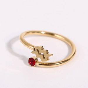 Macro shot of gold zodiac ring with Aquarius symbol and inlaid round red gemstone