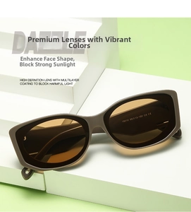 Detail view of square sunglasses with model 19010 and CE mark on the inner temple