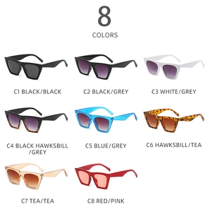 Collection of eight stylish square cat-eye sunglasses in various colors on a white background