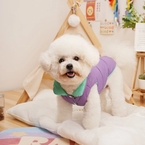 Close-up of a purple padded pet vest with green collar on a white dog for winter warmth