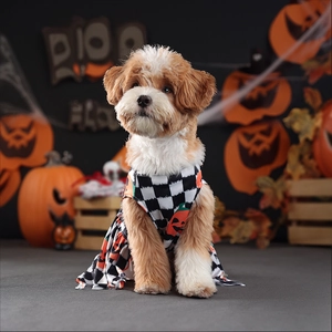 Close-up of Halloween pet dress featuring checkered patterns and pumpkin face prints