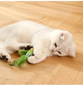 Gatto bianco che gioca con un uccello di peluche verde e piuma su pavimento in legno