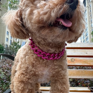Detail shot of bright pink hip hop style chain necklace on a dog in outdoor setting