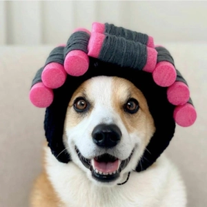 Funny pet costume hat with pink rollers for dogs and cats Halloween cosplay headwear