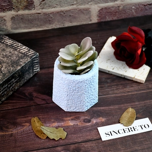 Octagonal silicone mold for DIY cement succulent pots shown in a cozy tabletop setting