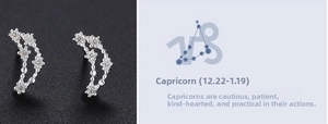 Detailed close-up of Capricorn zodiac stud earrings featuring sparkling white zircons