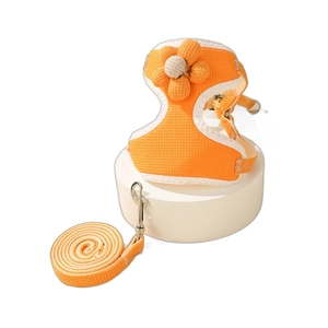 Set pettorina e guinzaglio arancione regolabile con fiore 3D per cani piccoli e gatti