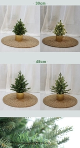 Mini LED Christmas trees in 30cm and 45cm sizes with gold pots and warm lighting