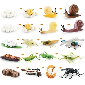 Realistic Insect Life Cycle Growth Stages Model Set PVC Educational Toy Snail Dragonfly Grasshopper Mosquito Figure For Kids