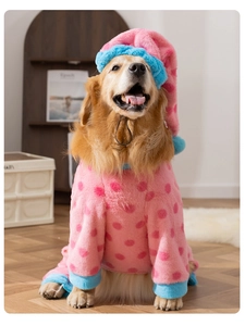 Pink polka dot dog pajamas with blue trim and matching pointy hat on a Golden Retriever
