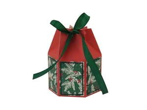 Detail of red hexagonal Christmas gift box with green ribbon and festive pine branch patterns