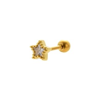 Detail shot of a gold-plated stainless steel star stud earring with a sparkling zircon inlay