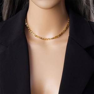 Detail of a vintage golden stainless steel phoenix tail chain necklace on a model