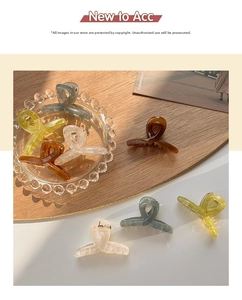 Translucent jelly colored hair claw clips in various elegant colors on a wooden stand