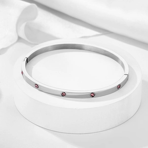 Polished silver stainless steel bangle with pink zircons on elegant white display