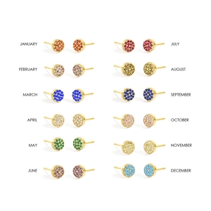 Set of 12 gold plated stainless steel birthstone stud earrings with crystal pave