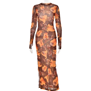 Robe longue transparente à manches longues avec imprimé floral brun et détails bleus