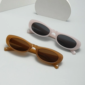 Retro Oval Sunglasses UV400 Protection Vintage Small Frame Plastic Fashionable Eyewear For Women Men Outdoor Travel