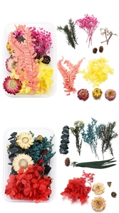 Assorted DIY preserved flower kit with hydrangea and baby breath in transparent box