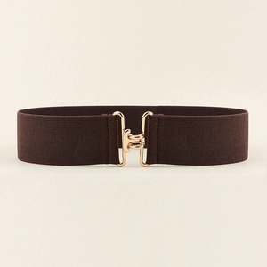 Close-up of a wide elastic dark brown waist belt with a golden metal interlocking buckle