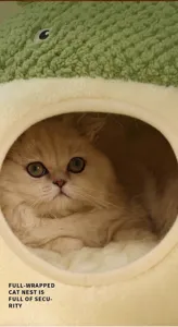 Dettaglio della cuccia per gatti a rana in peluche giallo con bordi imbottiti