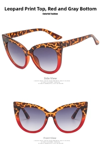 Detailed cat-eye glasses frame featuring leopard pattern and transparent red finish