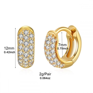 Luxuriöse ovale Huggie-Ohrringe mit Zirkonia-Mikropflaster in 14k Gold-Finish