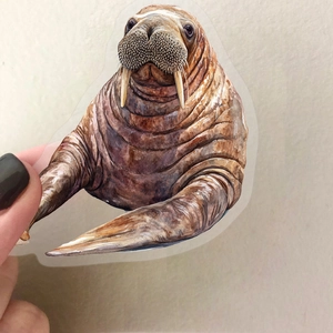 Detailed view of a watercolor walrus sticker with transparent edges for scrapbooking