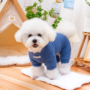 Blue fleece pet jumpsuit on a Bichon Frise puppy in a cozy indoor home setting