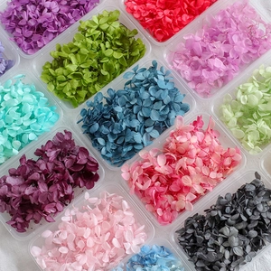 Preserved hydrangea flowers in various colors for DIY crafts neatly arranged in plastic boxes