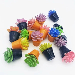 Collection of colorful miniature dollhouse succulents in tiny pots on white background