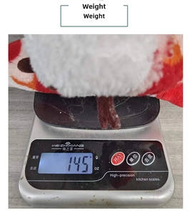 Detailed view showing a plush Christmas elf doll weighing 145g on a digital scale