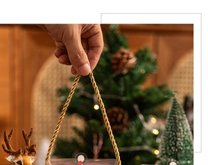 Detailed view of Christmas gift box with gold rope handle and festive reindeer ornaments