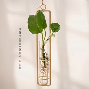 Wall mounted gold metal frame vase with cylindrical glass tube for hydroponic plants