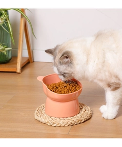 Gros plan d'une gamelle ergonomique surélevée pour chat sur un tapis en osier