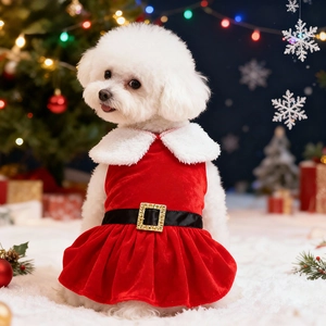 Close-up of red velvet Christmas dog dress with white fur collar and golden buckle