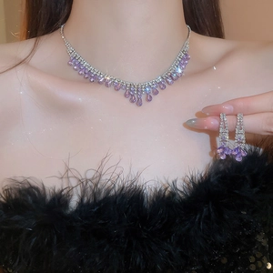 Detail showing elegant silver necklace and purple teardrop earrings with crystals