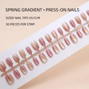 Faux Ongles Press On Cat Eye Dégradé Effet Glace Court Ballerine Pour Femmes Style Ins Plastique ABS