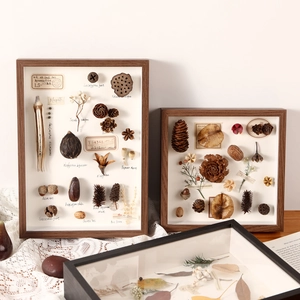 Cornice Per Display Profonda Per Campioni Di Piante Fai Da Te Fiori Secchi Decorazione In Legno