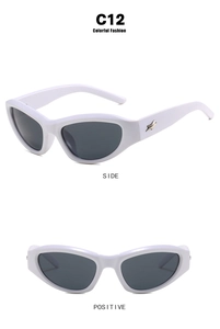 Detail of white Y2K sports sunglasses featuring silver star logo on temples